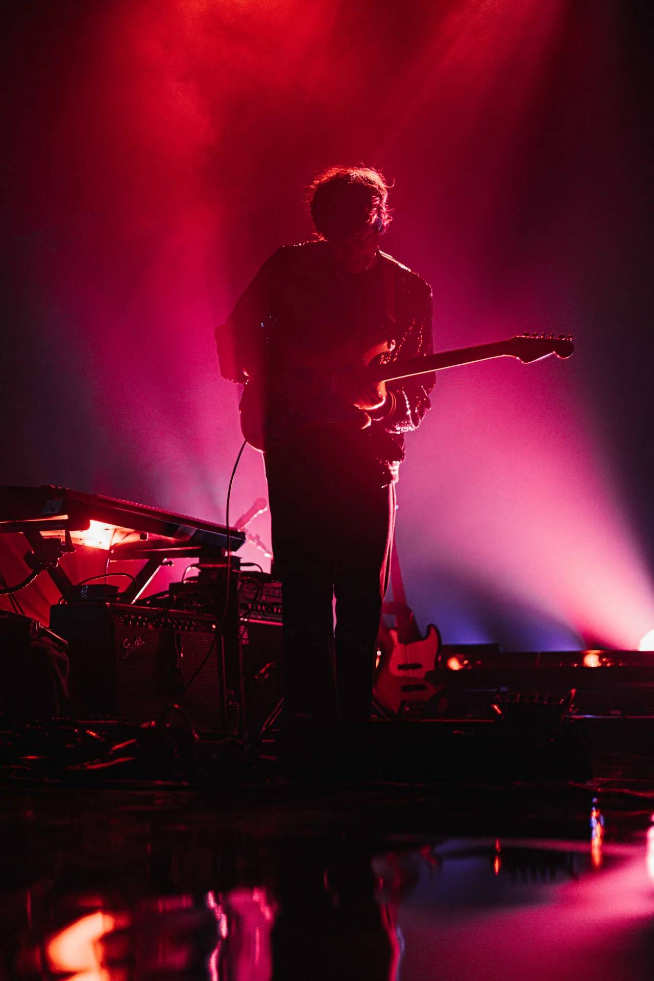 Beach House Concert - photo 22 of 38